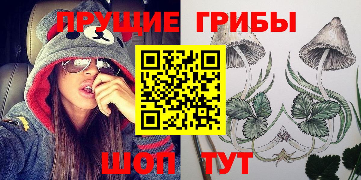 Псилоцибиновые грибы Magic Shrooms  Вход с VPN  Благовещенск  Псилоцибиновые грибы Psilocybine cubensis 